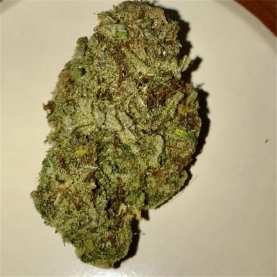 Durban Poison